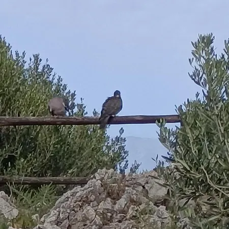 La Casetta A Casa vacanze Scopello (Sicily)